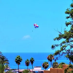 https://playa-de-las-americas-sea-views-ii.in-canary-islands.com